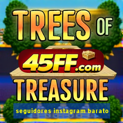 seguidores instagram barato